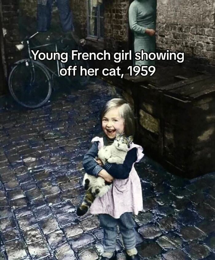 a2.jpg
