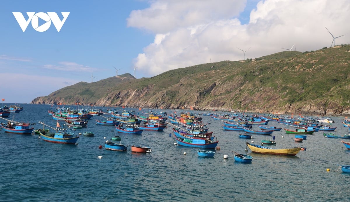 Bình Định tháo gỡ bất cập giao thông đường thủy để phát triển du lịch biển - Ảnh 3.