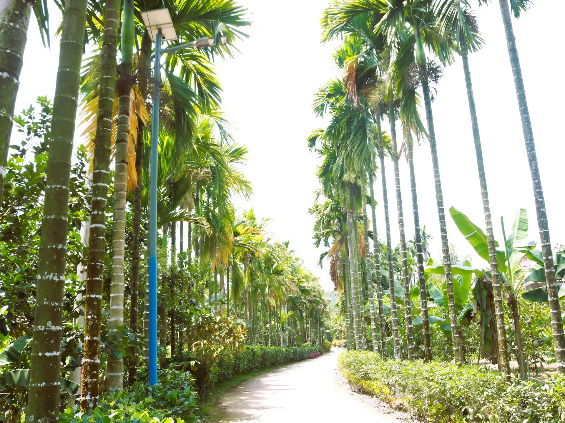 duong_dep.jpg