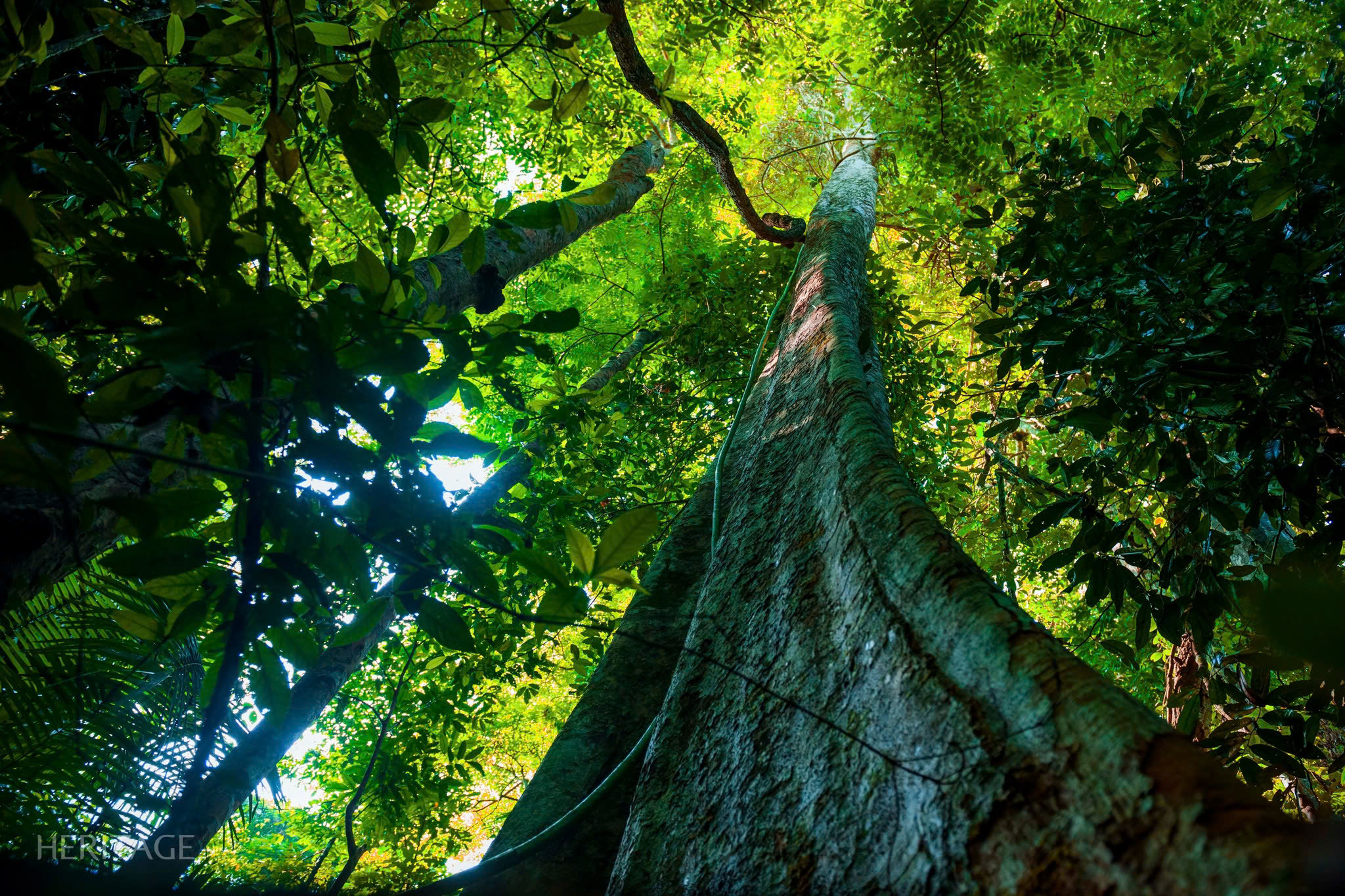 Vietnam is among the 16 countries with the highest biodiversity in the world.