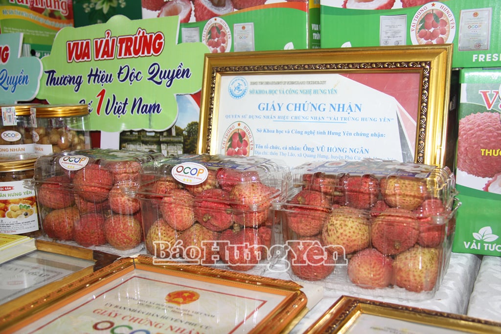 Vải trứng Hưng Yên trưng bày tại hội nghị
