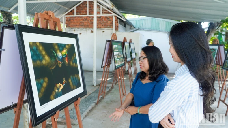 ការតាំងពិព័រណ៌វិចិត្រសិល្បៈ និងការថតរូបជាមួយប្រធានបទ 