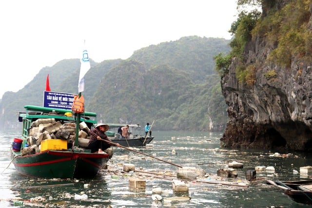 Tàu du lịch vịnh Hạ Long bị dừng hoạt động vì để khách dùng chai nhựa - Ảnh 1.