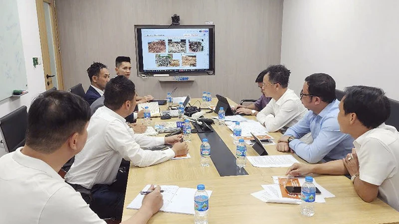 Xúc tiến xây dựng nhà máy điện sinh khối đầu tiên tại Lào Cai