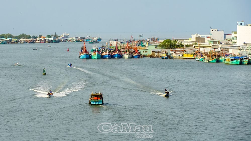 Theo Nghị quyết số 13-NQ/TW ngày 2/4/2022 và Quy hoạch vùng ÐBSCL giai đoạn 2021-2030, tầm nhìn đến 2050, Cà Mau được định hướng là trung tâm tiểu vùng ven biển, trung tâm năng lượng và chế biến thuỷ sản của vùng, đồng thời là trung tâm du lịch sinh thái và dịch vụ dầu khí quốc gia.