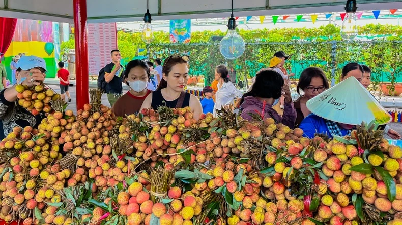Nhiều hoạt động hấp dẫn tại Lễ hội Trái cây Nam Bộ lần thứ 21 ảnh 3