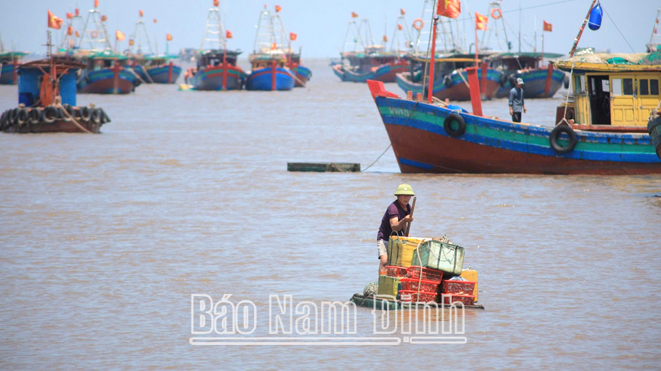 Farmers' Association of Giao Hai commune develop aquaculture and seafood exploitation.
