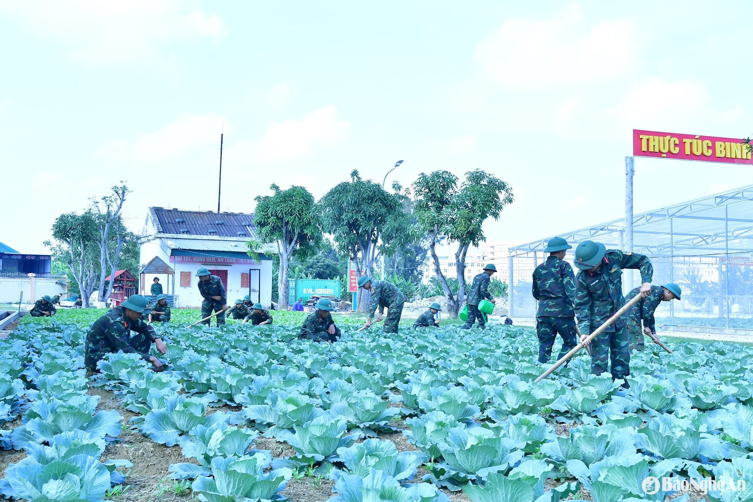 ภาพที่ 4