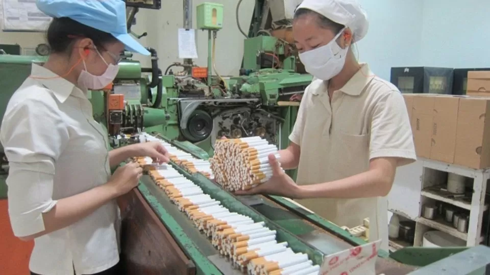 Sản xuất thuốc lá tại Việt Nam (ảnh minh hoạ)
