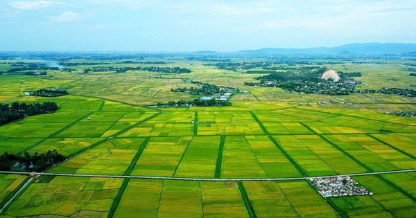 Tạm dừng kiểm kê đất đai cấp tỉnh đến khi hoàn thành sáp nhập -0