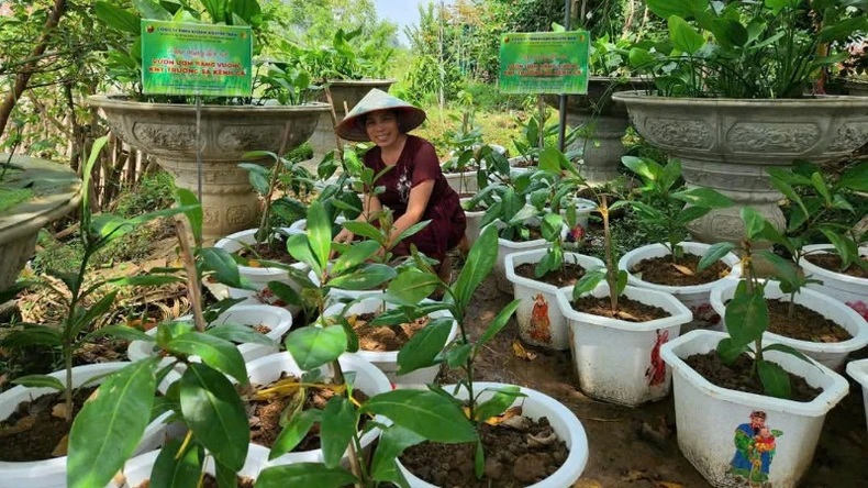 Có một Trường Sa trong lòng Gia Viễn, Ninh Bình ảnh 6