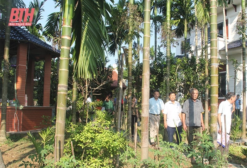 Double effect from ecological areca garden