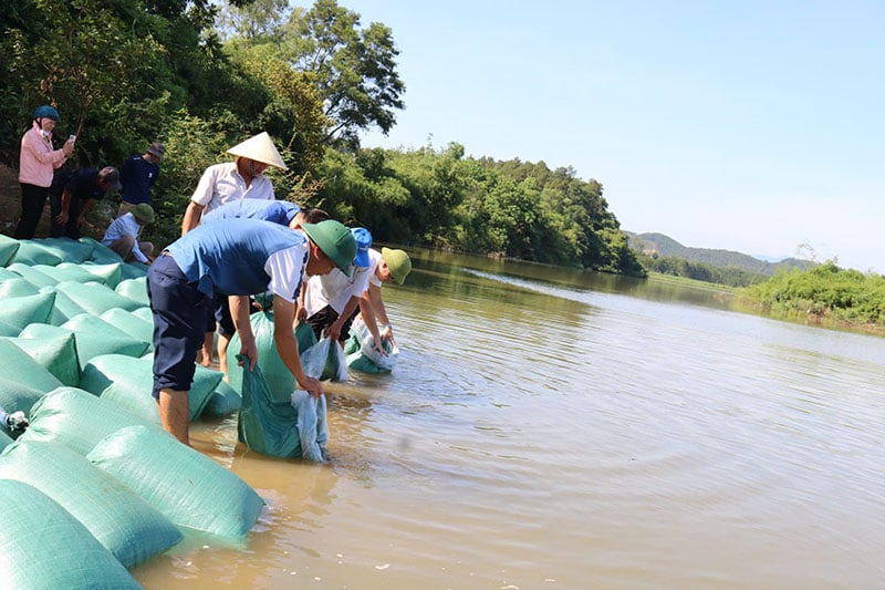 រៀបចំ​ការ​លែង​ពូជ​ត្រី​នៅ​ទន្លេ Kien Giang។