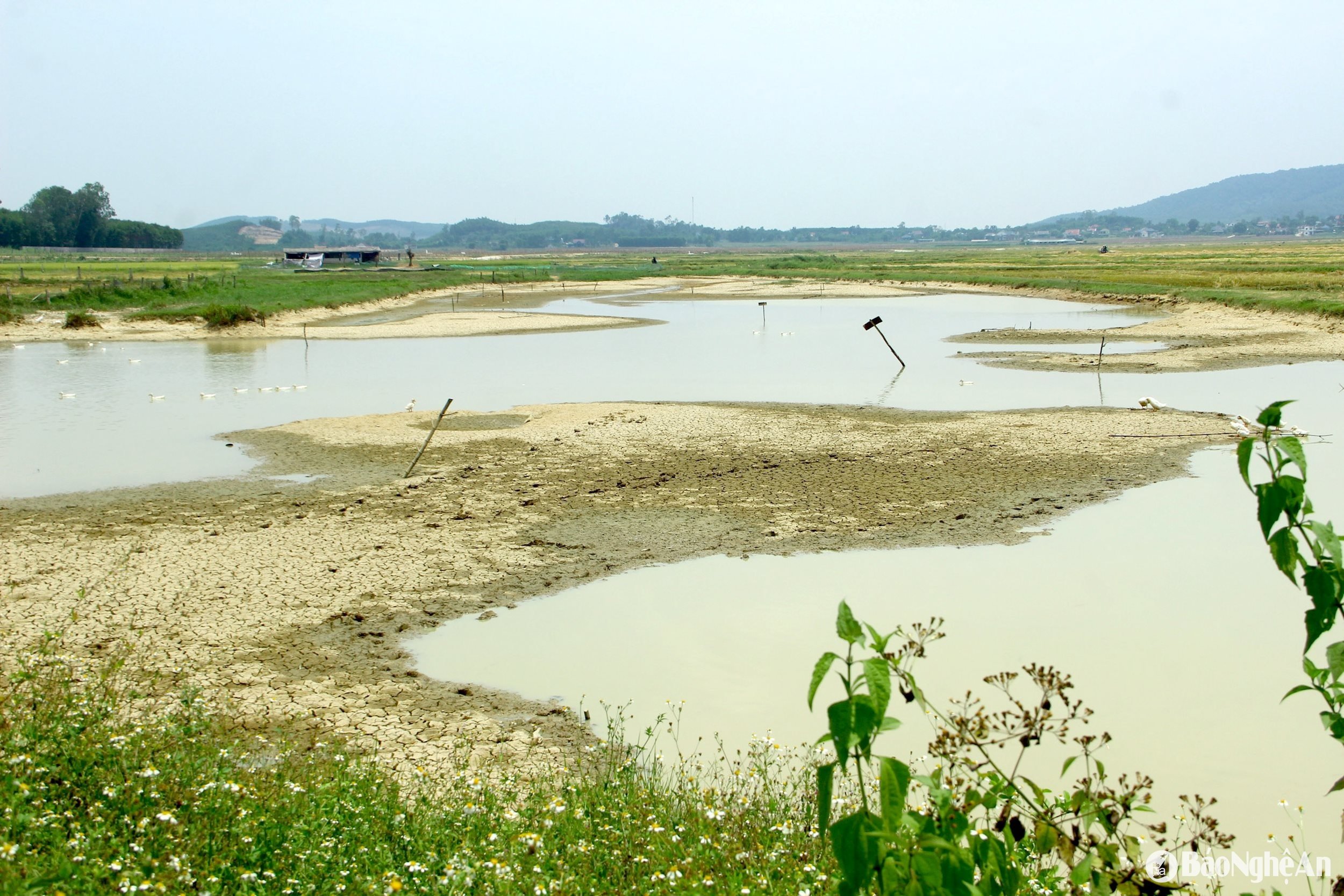 Đập Nậu