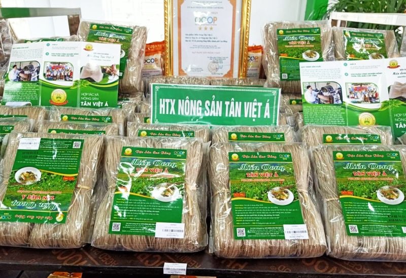 គុយទាវ Cellophane នៃសហករណ៍កសិកម្ម Tan Viet A បំពេញបានយ៉ាងពេញលេញនូវស្តង់ដារនាំចេញទៅកាន់ទីផ្សារសហរដ្ឋអាមេរិក។