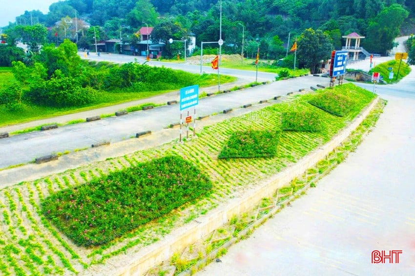 bqbht_br_duong-hoa-trung-luong.jpg