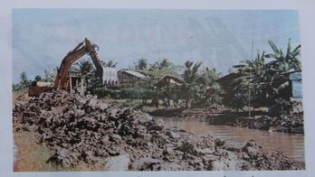 'Vựa vàng' nơi 'rốn phèn' - câu chuyện của Đồng Tháp Mười: Từ cánh đồng hoang (Bài 1)