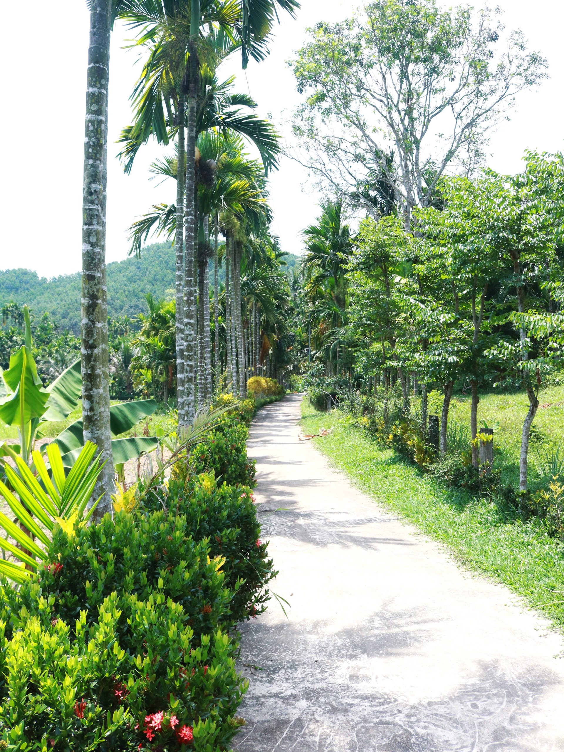 duong_dep.jpg