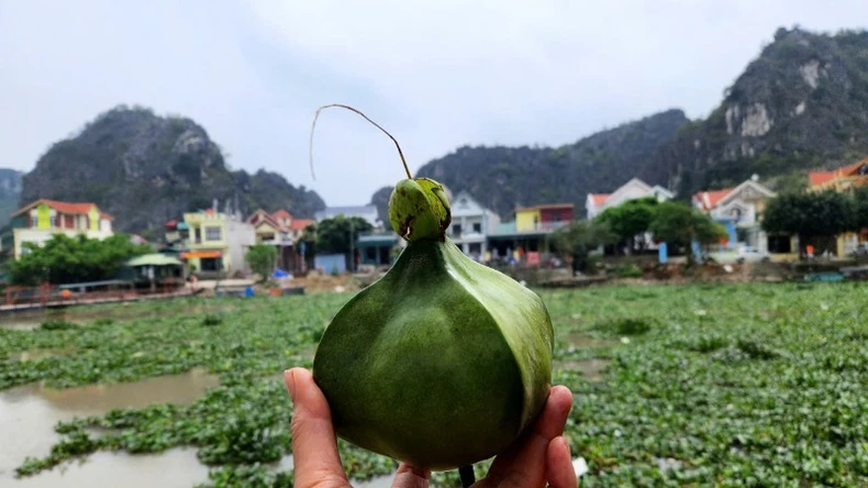 Có một Trường Sa trong lòng Gia Viễn, Ninh Bình ảnh 7