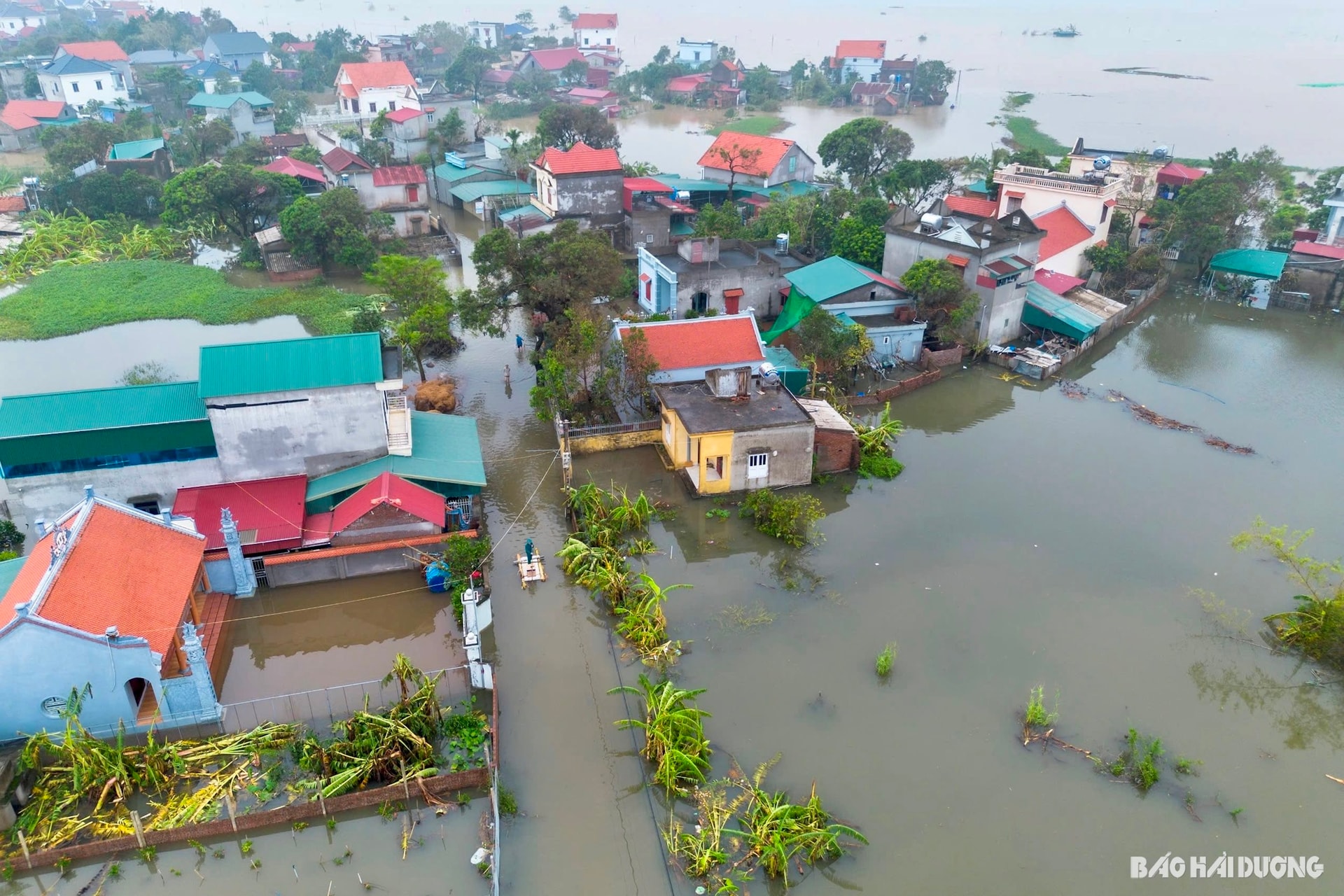 Una zona residencial fuera del dique del río Thai Binh en el distrito de Nam Sach se inundó debido a la tormenta número 3 (tormenta Yagi), que provocó lluvias prolongadas e inundaciones (foto documental).
