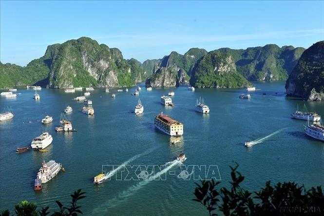 Quảng Ninh: Dừng hoạt động với tàu du lịch để khách sử dụng sản phẩm nhựa dùng một lần - Ảnh 1.