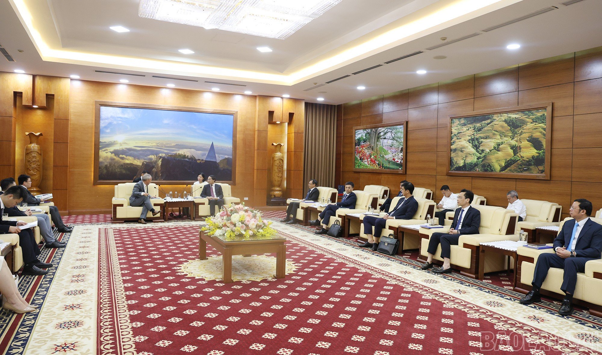 baolaocai-br_img-9632.jpg