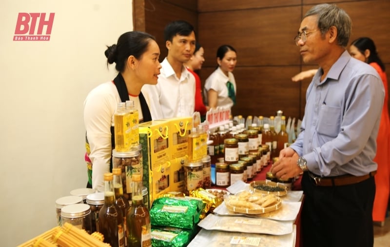 សម្ព័ន្ធសហករណ៍ Thanh Hoa លើកសរសើរគំរូទំនើបៗ ដំណាក់កាល ២០២០-២០២៥