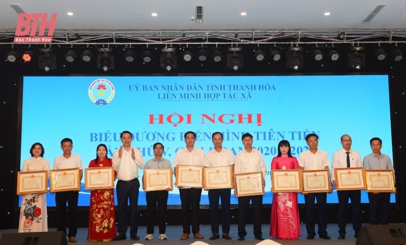 សម្ព័ន្ធសហករណ៍ Thanh Hoa លើកសរសើរគំរូទំនើបៗ ដំណាក់កាល ២០២០-២០២៥