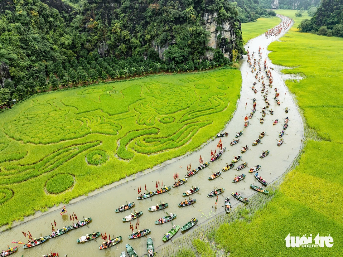 Lúa chín gọi mời, Ninh Bình khai hội ‘Sắc vàng Tam Cốc - Tràng An’ - Ảnh 1.