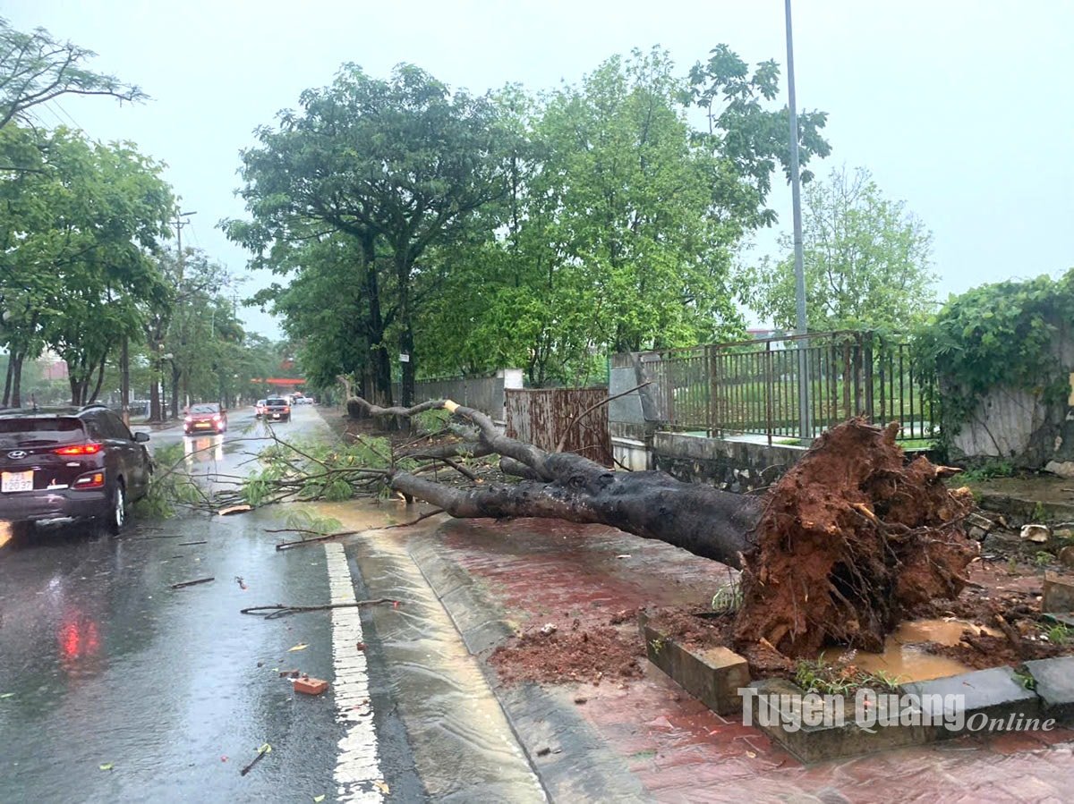 tuyen-quang.jpg