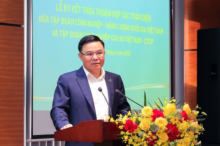 Chairman of Petrovietnam Board of Directors Le Manh Hung: 