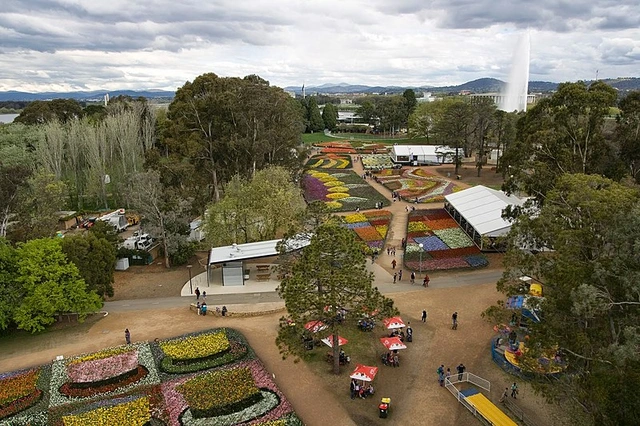 parque-de-la-comunidad.webp