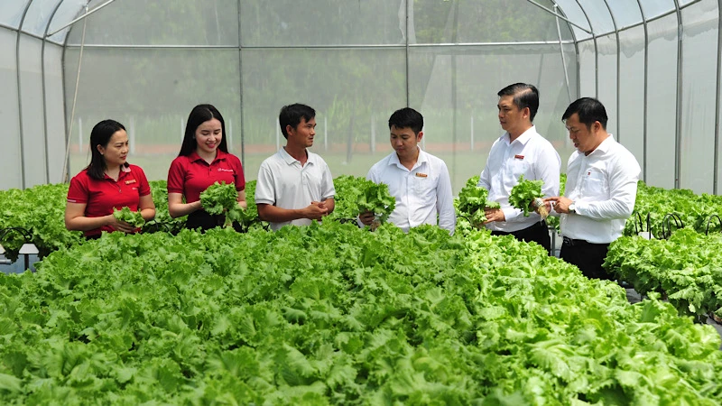 agribank-expands-the-scope-of-preferential-credit-package-for-agriculture-and-aquaculture.webp