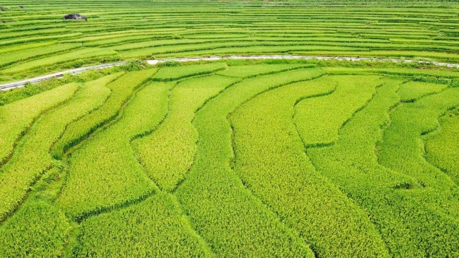 Ruộng bậc thang trên "cổng nhà trời" Pù Luông