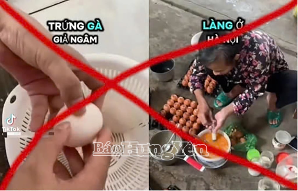 ตั้งแต่ต้นเดือนพฤษภาคม ข้อมูลไข่ปลอมแพร่กระจายไปทั่วโซเชียล ส่งผลต่อจิตวิทยาของผู้บริโภคและเกษตรกรผู้เลี้ยงสัตว์ (ภาพประกอบ)