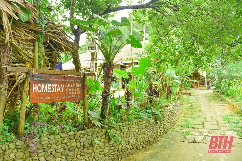 ខូវ មួង ភ្ញាក់នៅកណ្តាលព្រៃ