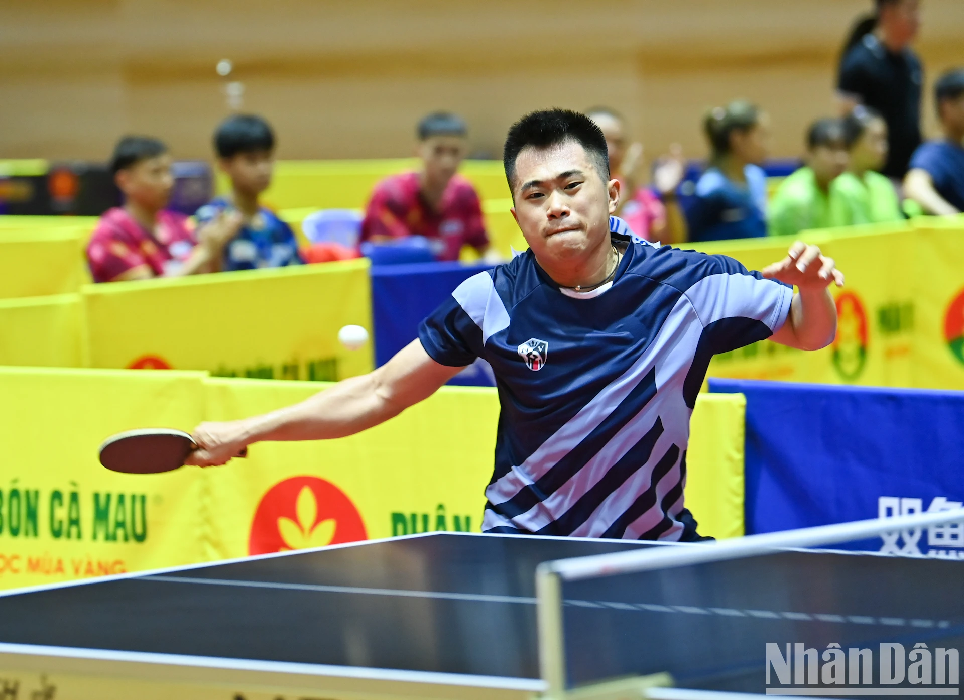 【写真】2025年ニャンダン新聞全国卓球選手権にトップ選手が集結 写真2