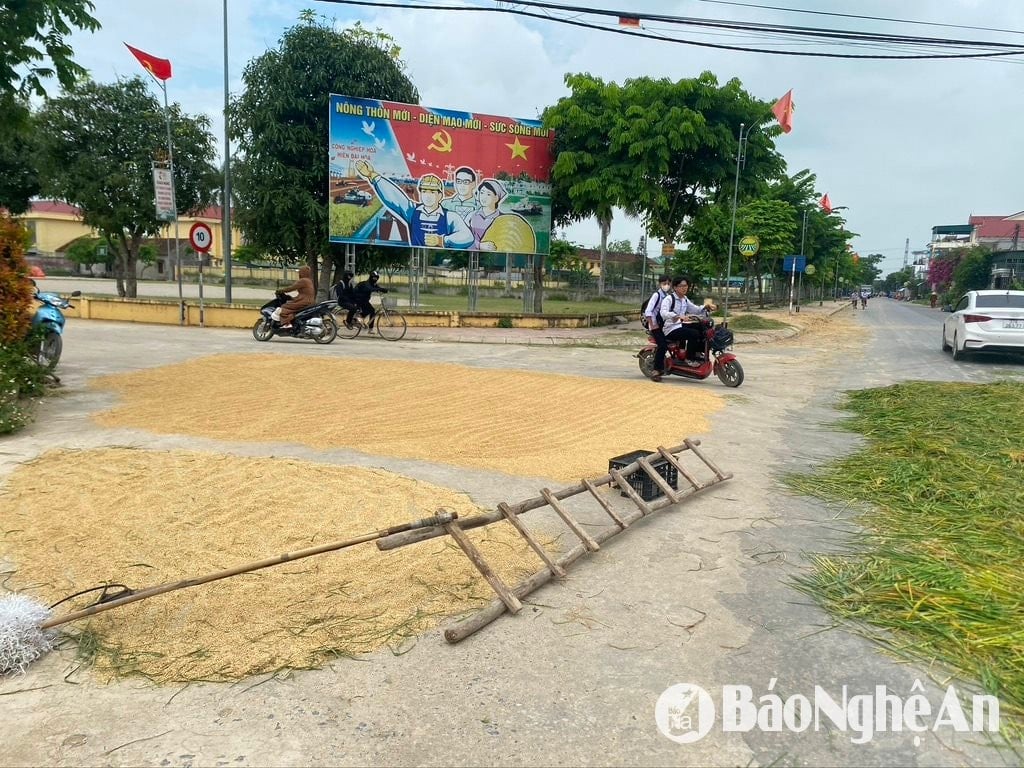 សាលា ១