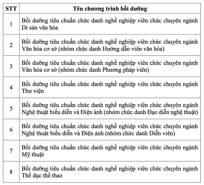 Tổ chức bồi dưỡng theo tiêu chuẩn chức danh nghề nghiệp viên chức ngành Văn hóa, Thể thao và Du lịch - Ảnh 2.