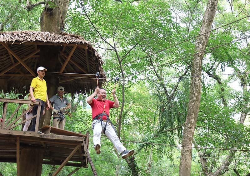 Trải nghiệm các trò chơi trên cây tại Ozo Park.