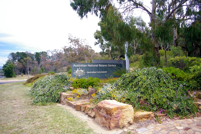 Jardín Botánico Nacional Australiano.webp