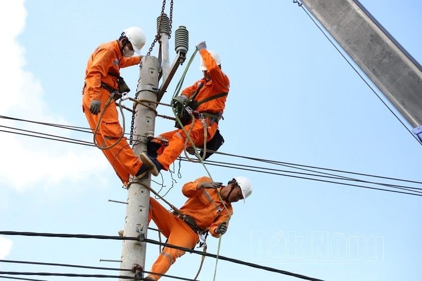 electric-training-on-how-to-handle-the-event-of-electric-discharge(1).jpg