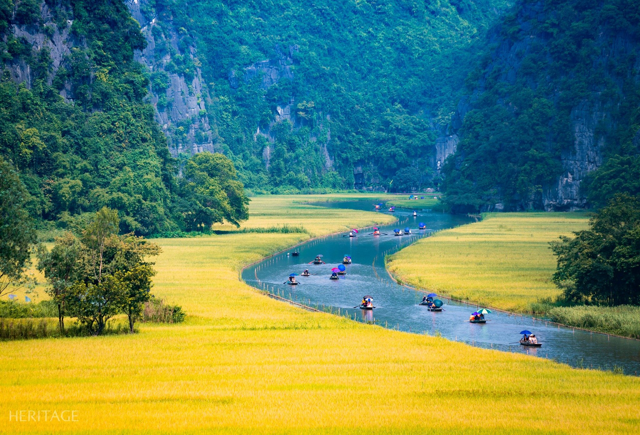 "Sắc vàng Tam Cốc - Tràng An" - Tuần du lịch Ninh Bình 2025