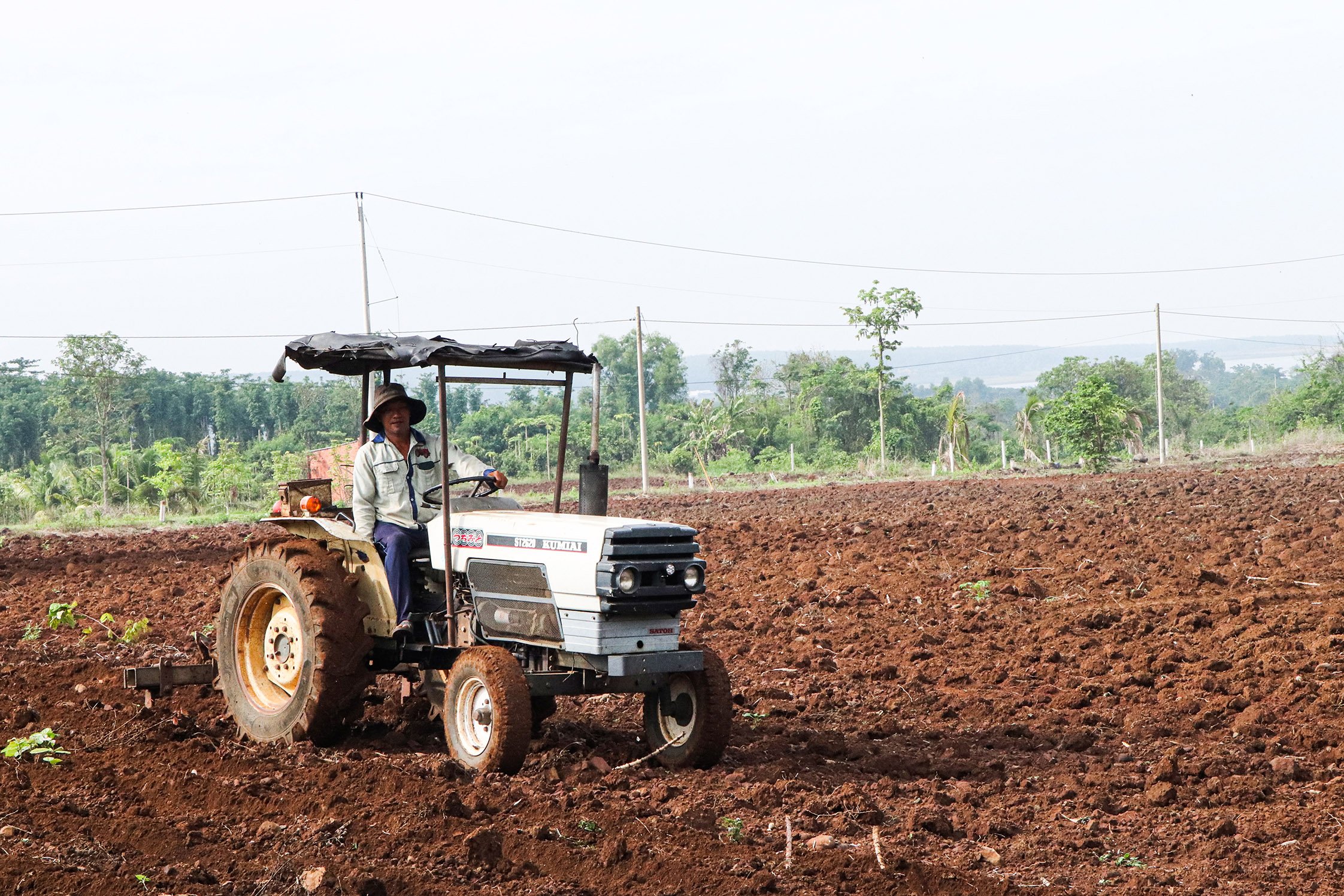 Sáng 23/5, nông dân xã Đá Bạc xới đất, gieo trồng bắp cho vụ Hè Thu.