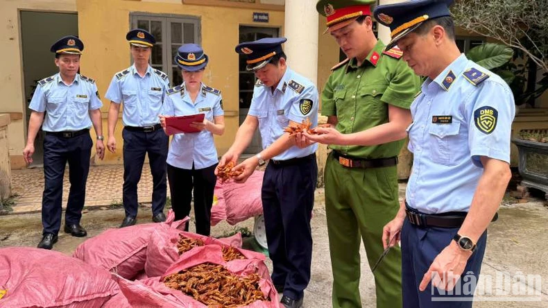 Lang Son៖ ប្រយុទ្ធ​ប្រឆាំង​នឹង​ការ​រត់​ពន្ធ ការ​ក្លែង​បន្លំ​ពាណិជ្ជកម្ម និង​ទំនិញ​ក្លែង​ក្លាយ​រូបថត​ទី ៣