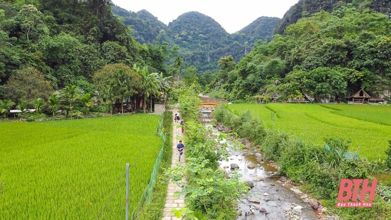ខូវ មួង ភ្ញាក់នៅកណ្តាលព្រៃ