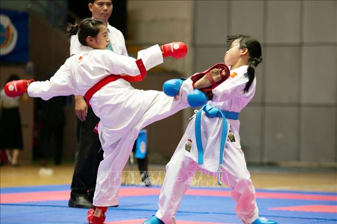 Giải Karate các câu lạc bộ tỉnh Hải Dương - Ảnh 1.