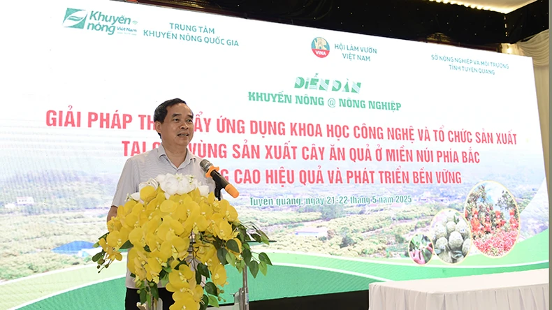 Tăng cường ứng dụng khoa học công nghệ vào tổ chức sản xuất cây ăn quả ở miền núi phía bắc ảnh 2