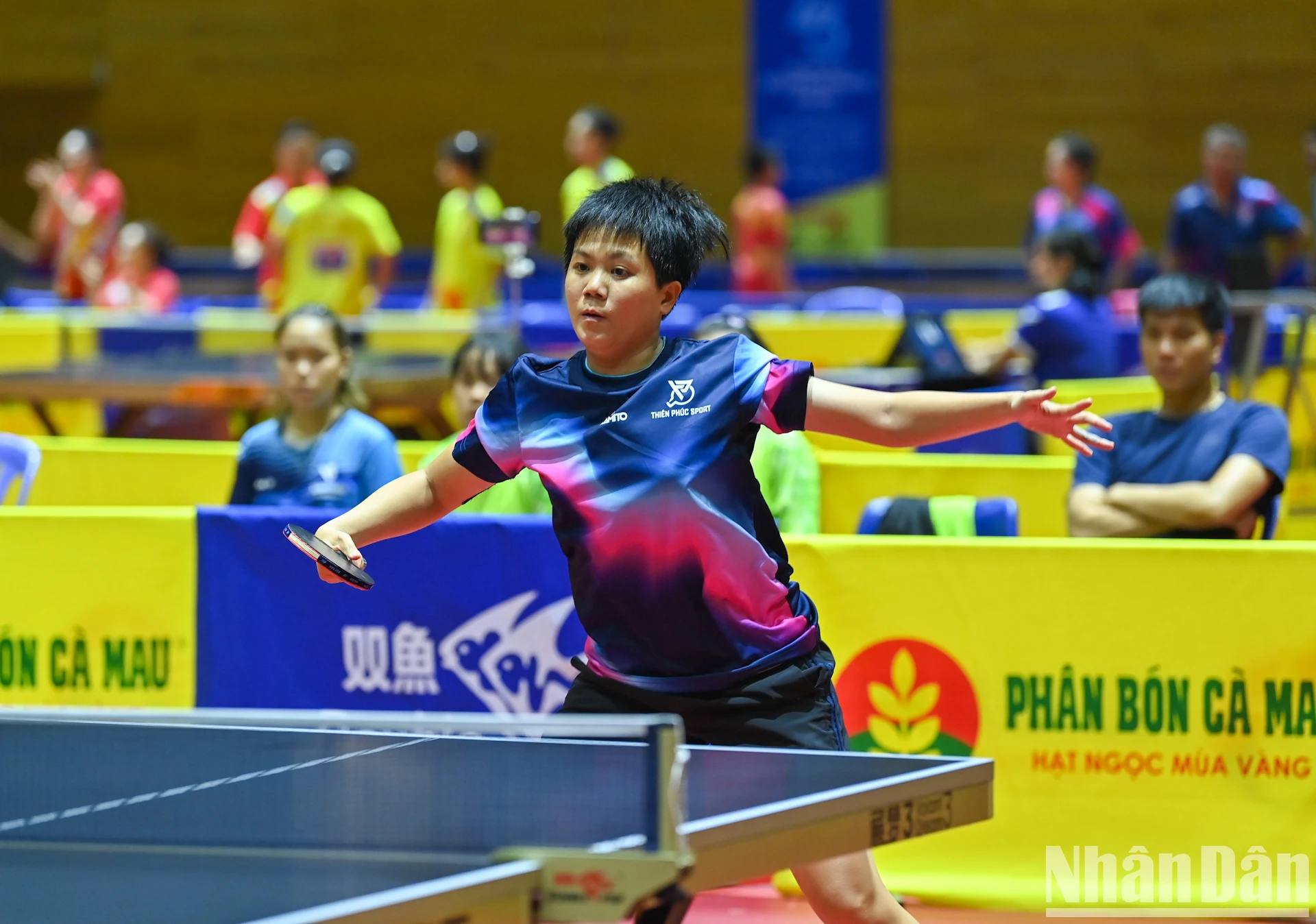【写真】2025年ニャンダン新聞全国卓球選手権にトップ選手が集結 写真14