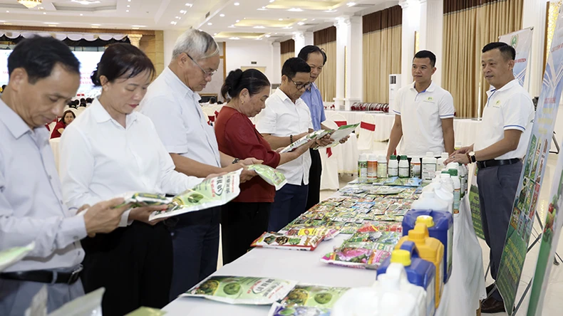 Tăng cường ứng dụng khoa học công nghệ vào tổ chức sản xuất cây ăn quả ở miền núi phía bắc ảnh 5